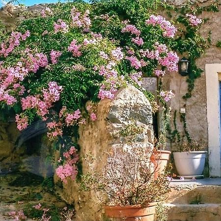 Bed and Breakfast Le Patio. Casa Mucchielli Corbara Exterior foto
