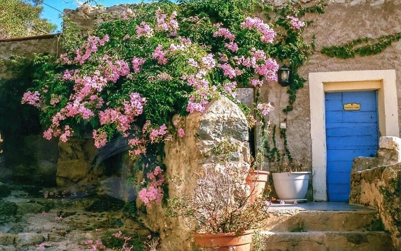 Bed and Breakfast Le Patio. Casa Mucchielli Corbara Exterior foto